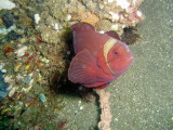 img0032.jpg