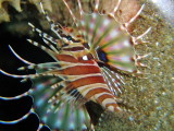 img0033.jpg