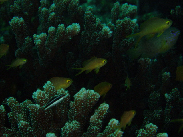 img0002.jpg
