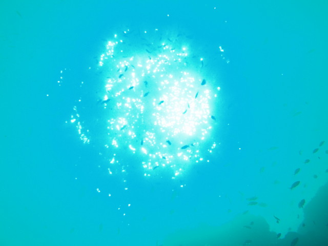 img0005.jpg