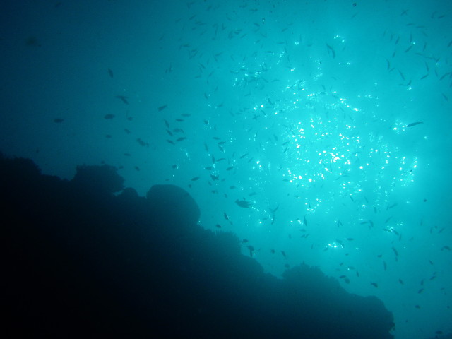 img0006.jpg