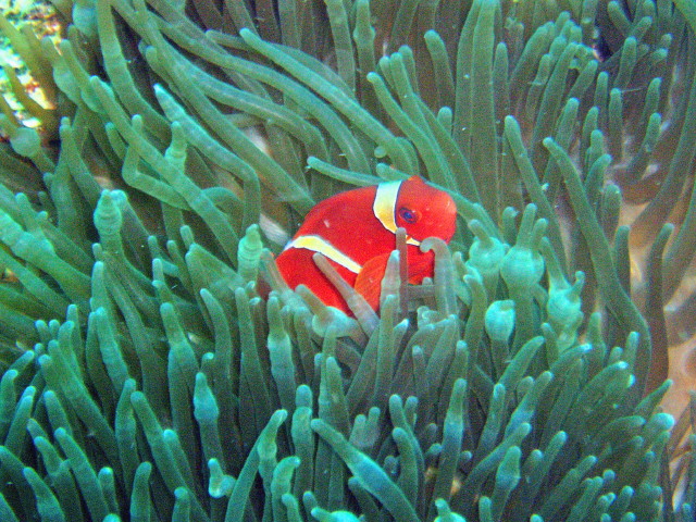 img0008.jpg