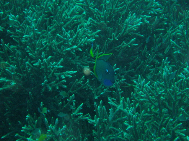 img0012.jpg