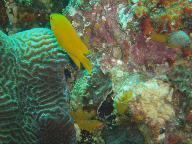 img0015.jpg