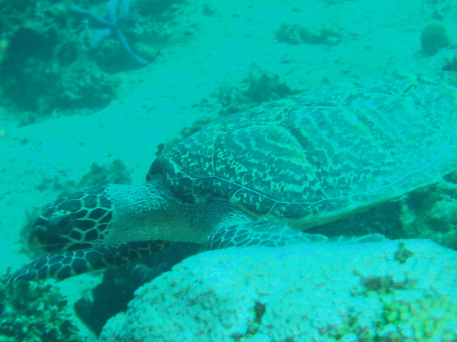 img0021.jpg