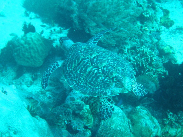 img0022.jpg
