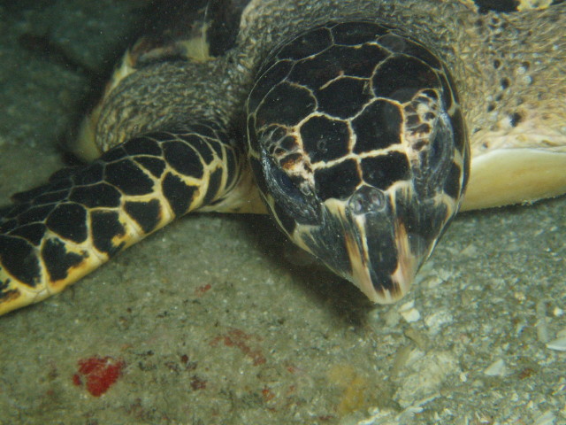 img0024.jpg