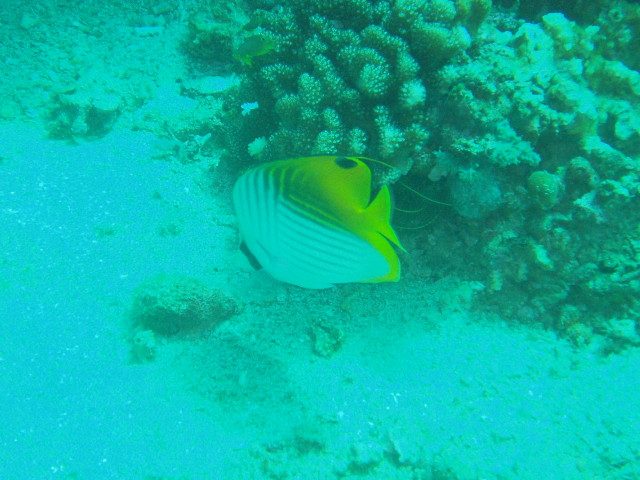 img0026.jpg
