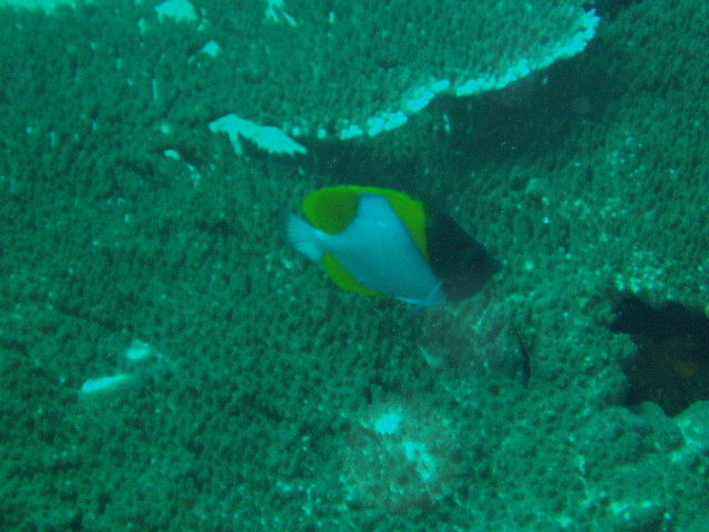 img0027.jpg