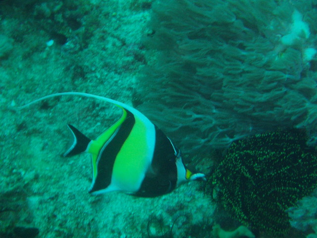 img0028.jpg