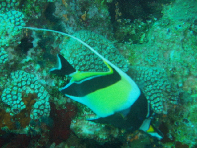 img0029.jpg