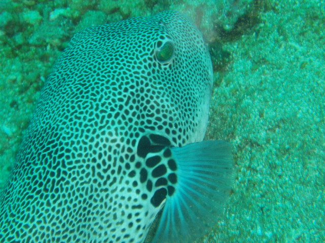 img0032.jpg