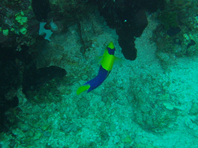 img0034.jpg