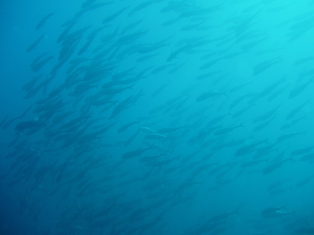 img0037.jpg
