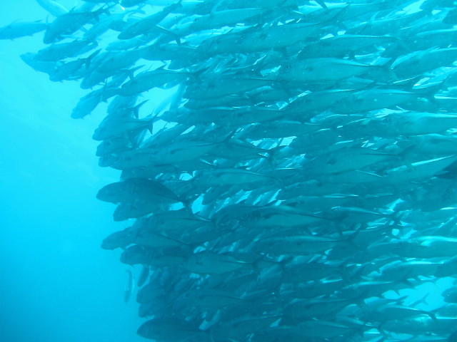 img0044.jpg