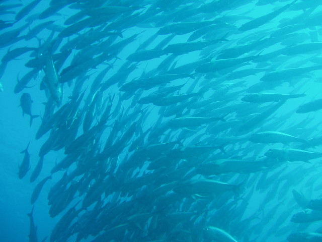 img0045.jpg