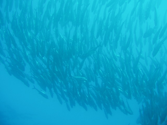 img0046.jpg