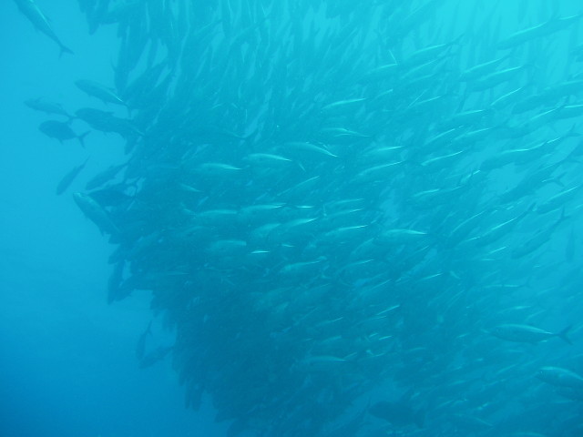 img0047.jpg
