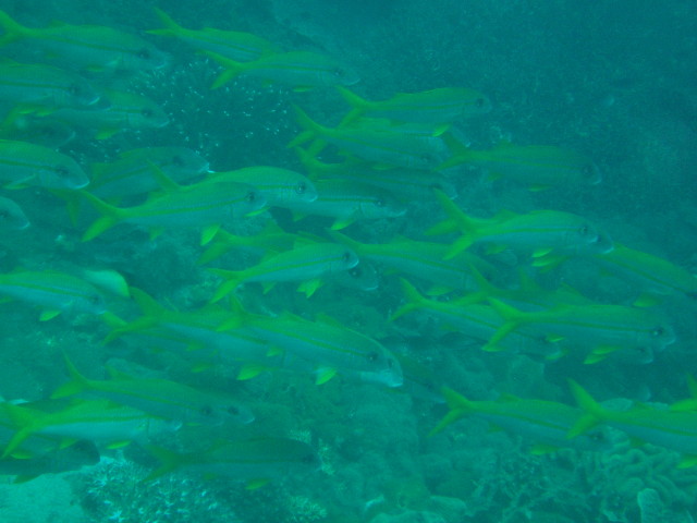 img0054.jpg
