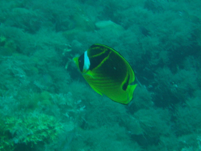 img0055.jpg
