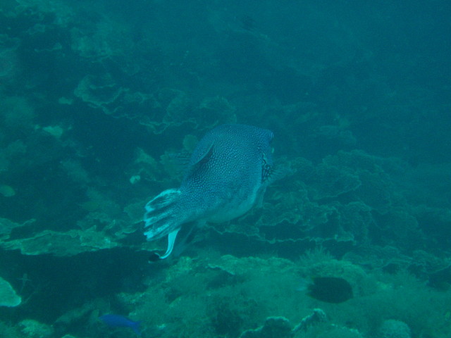 img0057.jpg