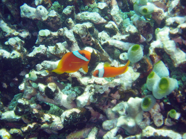 img0067.jpg