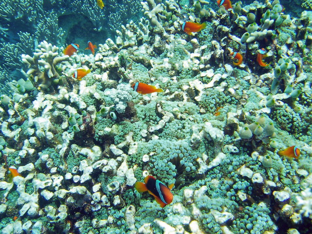 img0069.jpg