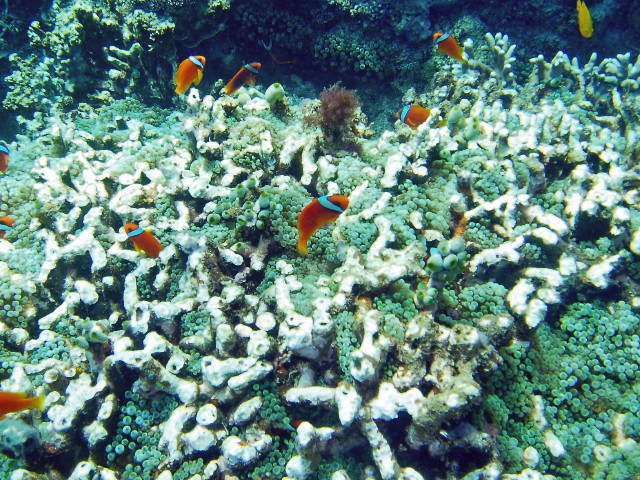 img0070.jpg