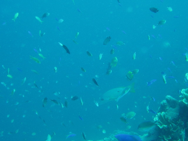 img0077.jpg