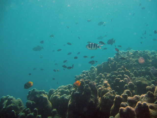 img0078.jpg