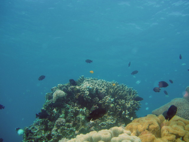 img0085.jpg