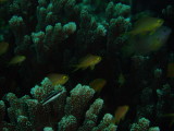 img0002.jpg