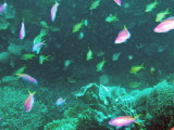 img0004.jpg