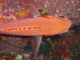 img0007.jpg