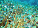 img0009.jpg