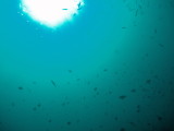 img0010.jpg