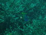 img0012.jpg
