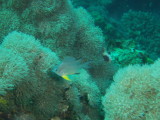 img0014.jpg