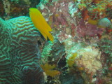img0015.jpg