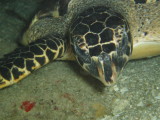 img0024.jpg
