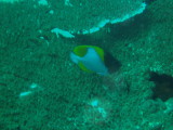 img0027.jpg