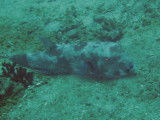 img0033.jpg