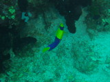 img0034.jpg