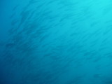 img0037.jpg