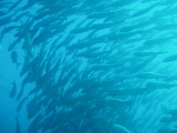 img0045.jpg
