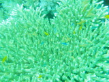 img0051.jpg
