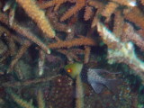 img0053.jpg