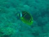 img0055.jpg