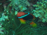 img0056.jpg
