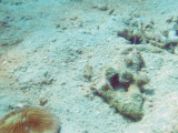 img0058.jpg